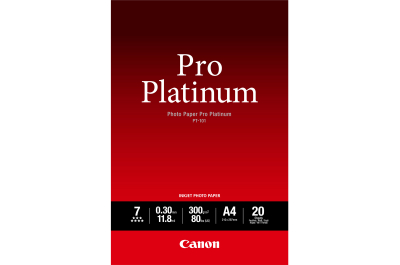 Paper/PT-101 Pro Platinum Photo A4 20sh